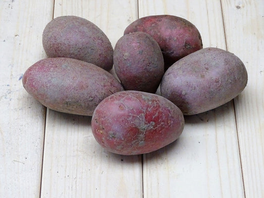 Biologische Alouette Aardappelen